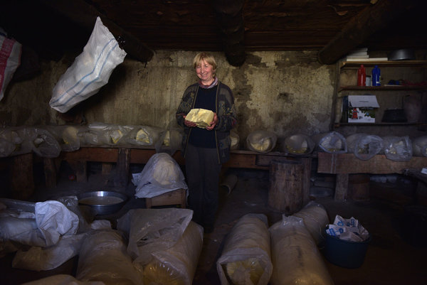 beneficiary from tusheti, cheese making beneficiary from tusheti, cheese making