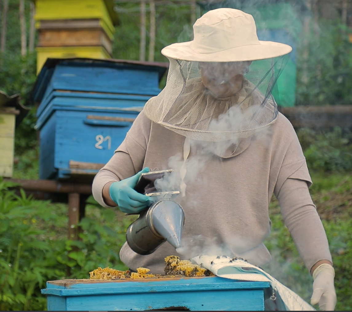 Nana Dvalidze - beekeeper
